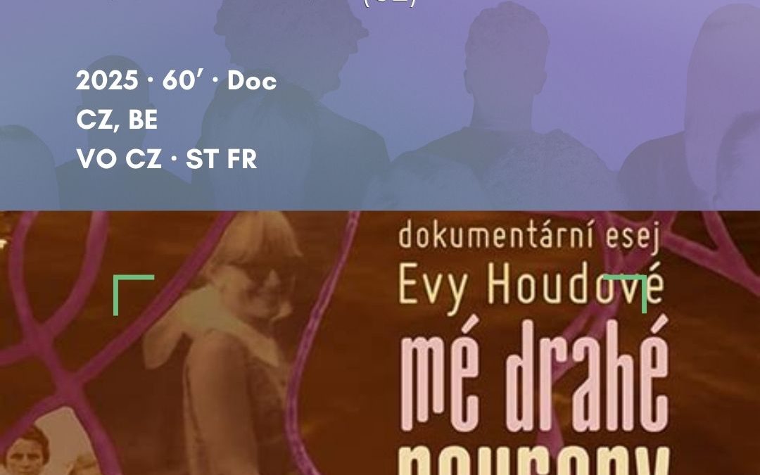 Mes chers Neurones de Eva Houdova